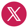 X (formerly Twitter) icon