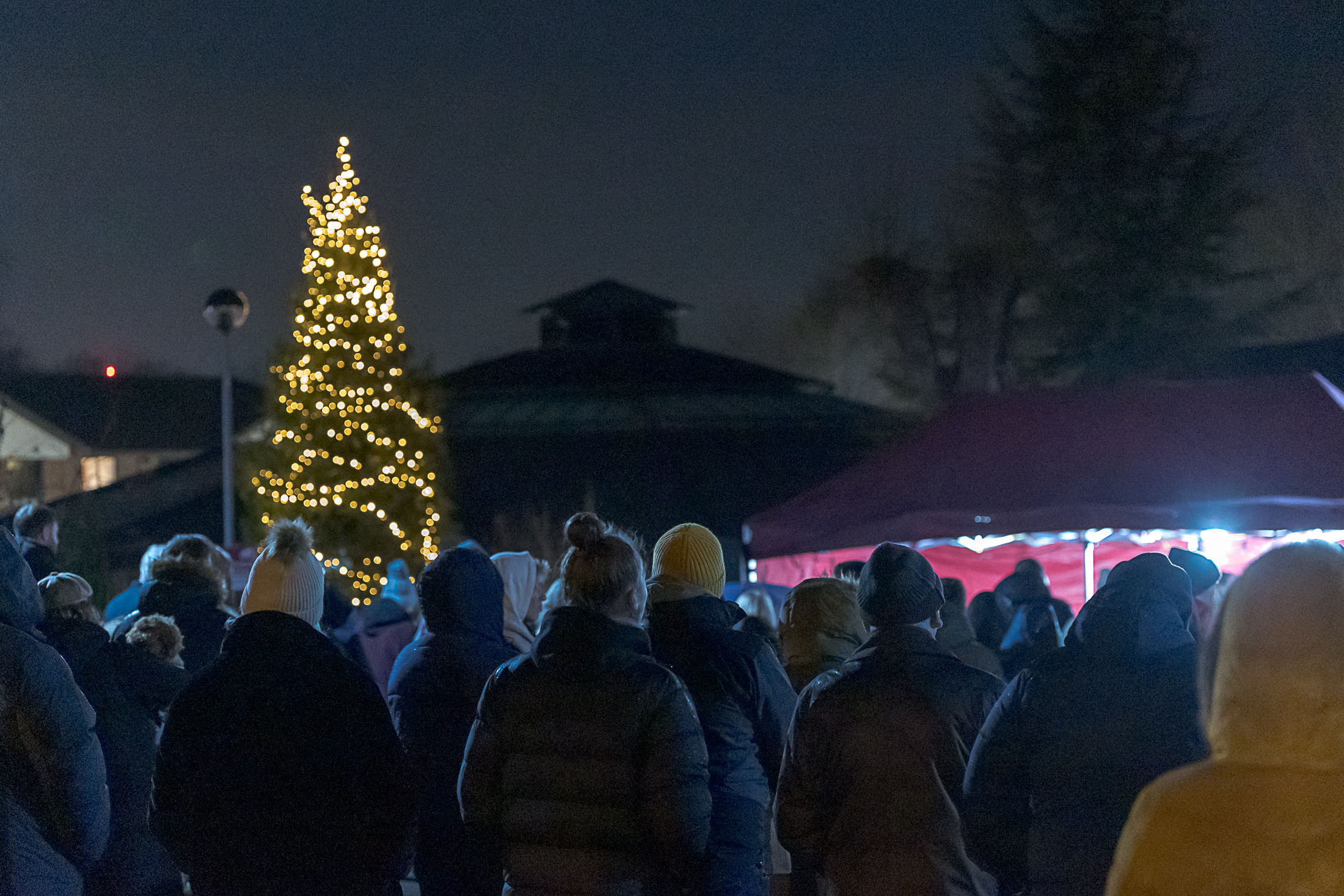 A crowd of people standing outside facing a large Christmas tree in the hospice gardens. It is dark and the tree is shining with warm lights.